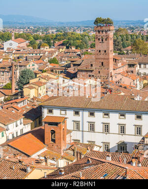 Vue panoramique à Lucca, avec la célèbre Tour Guinigi. La toscane, italie. Banque D'Images