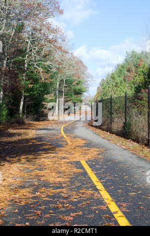 L'autre piste cyclable à Falmouth, Cape Cod, Massachusetts USA à la fin de l'automne avec les aiguilles de pin sur le chemin Banque D'Images