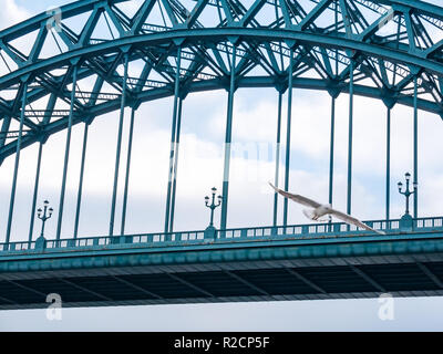 Vue rapprochée des feux de rue sur le pont Tyne, Newcastle Upon Tyne, Angleterre, Royaume-Uni avec vol en goéland Banque D'Images