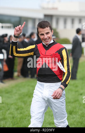 Kyoto, Japon. 18 Nov, 2018. William Buick : Courses de chevaux Jockey William Buick célèbre après l'école pour gagner le Stelvio Mile Championship à l'Hippodrome de Kyoto à Kyoto, au Japon . Credit : Eiichi Yamane/AFLO/Alamy Live News Banque D'Images