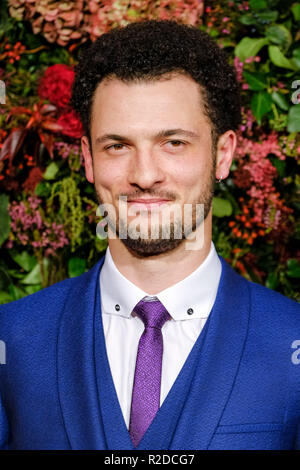 Londres, Royaume-Uni. 18 novembre, 2018. Jamael Westman au 64ème Evening Standard Theatre Awards 2018 le dimanche 18 novembre 2018 tenue au Theatre Royal Drury Lane, London. Sur la photo : Jamael Westman. Credit : Julie Edwards/Alamy Live News Banque D'Images