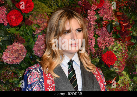 Hari assiste à la Nef 64ème Evening Standard Theatre Awards au Théâtre Royal, le 18 novembre 2018, Londres, Royaume-Uni. Banque D'Images