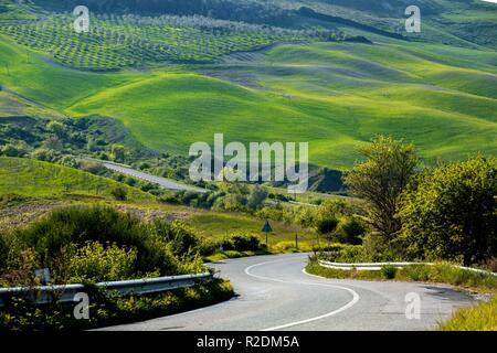 À vide, et colline verte en Toscane, Italie Banque D'Images