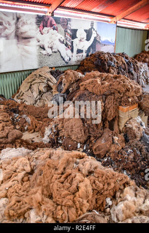 Arequipa, Pérou - 7 octobre 2018 : Des piles de matières alpaga laine en attente de traitement pour l'utilisation dans l'industrie textile Banque D'Images