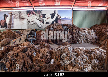 Arequipa, Pérou - 7 octobre 2018 : Des piles de matières alpaga laine en attente de traitement pour l'utilisation dans l'industrie textile Banque D'Images