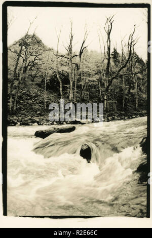 L'écoulement turbulent d'une rivière de montagne. Attention ! Image contient des impuretés et d'autres artefacts de la photographie analogique ! Banque D'Images