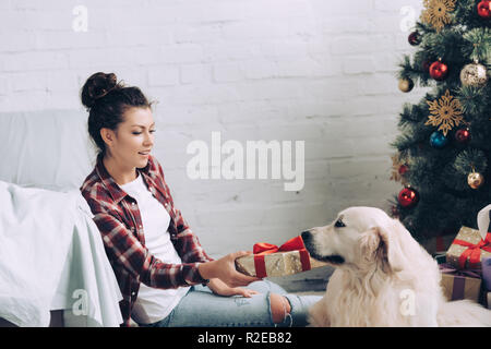 Young woman giving christmas gift box pour adorable golden retriever à la maison Banque D'Images