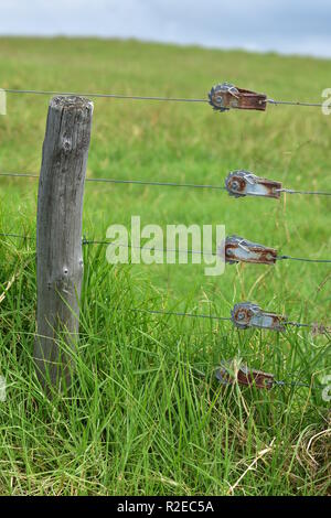 Poteau en bois patiné et fils de bétail clôture électrique avec terre agricole vert en arrière-plan. Banque D'Images