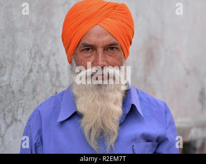 Les Indiens d'âge moyen homme sikh avec orange turban traditionnel (dastar) pose pour la caméra. Banque D'Images