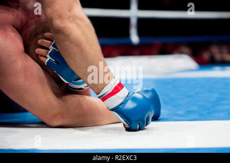 Combattants martiaux mixtes sur le terrain de l'aréna pendant la compétition. Deux combattants MMA lutte sur l'anneau de plancher Banque D'Images