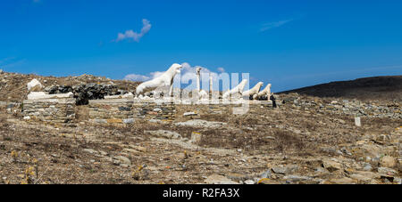 Les anciennes statues de lion sur l'île sacrée de Délos, en Grèce. Le lieu de naissance de dieu Apollon. Banque D'Images