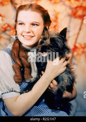 The Wizard of Oz Année : 1939 USA Réalisateur : Victor Fleming Judy Garland Banque D'Images