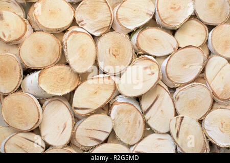 Morceaux de bois de bouleau - petites tranches dans une rangée Banque D'Images