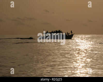 Sunset dolphin cruise de Meeru Island, Maldives Banque D'Images