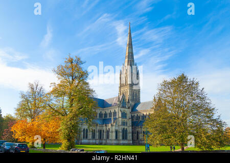 La cathédrale de Salisbury de Salisbury fermer l'Angleterre. Banque D'Images