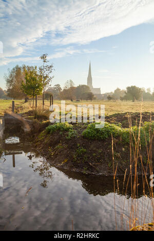 La cathédrale de Salisbury de Salisbury Wiltshire, les prés. Banque D'Images