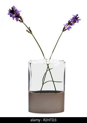 En verre lavande Banque D'Images