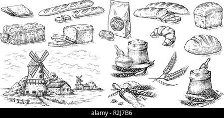 Collecte d'éléments naturels de pain et farine moulin sketch vector illustration Illustration de Vecteur