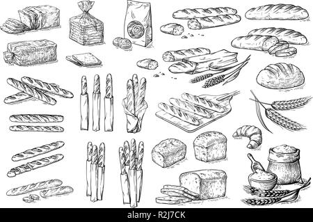 Collecte d'éléments naturels de pain et de farine sketch vector illustration Illustration de Vecteur