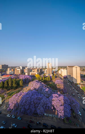 Harare, la capitalo du Zimbabwe, vu dans la saison de Jacaranda Banque D'Images