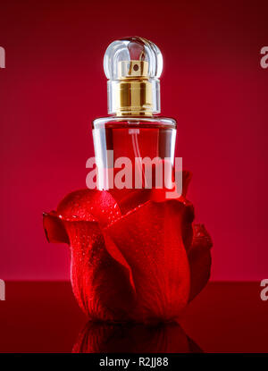 Flacon de parfum dans des pétales de rose sur fond rouge. Photographie de produits présentation sur fond rouge pasiion Banque D'Images