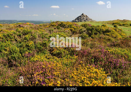 Cairn du sommet sur la Colline noire près de Haytor sur Dartmoor. Banque D'Images