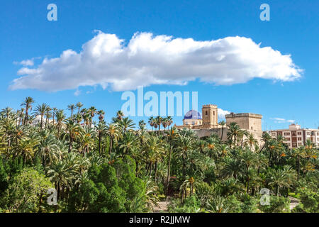 Elche Espagne Europe région de Valence site du patrimoine mondial de l'UNESCO, Elche palmeraie campagne et vue sur les nuages Parc Municipal El Palmeral Elche Banque D'Images