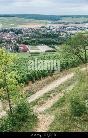 Vignobles de Bourgogne, de chablis, de la ville de Chablis, le vin en région centre de la France (nord de la Bourgogne), Banque D'Images