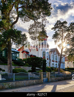 Maison de la Baltique avec des arbres au soleil sur la plage de Zinnowitz promenade sur l'île d'Usedom. Banque D'Images