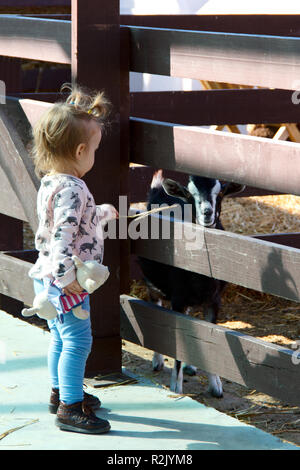 Fille avec chèvre dans une ferme. photo Banque D'Images