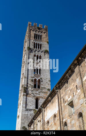 Basilica di San Fredino à Lucca, Toscane, Italie Banque D'Images