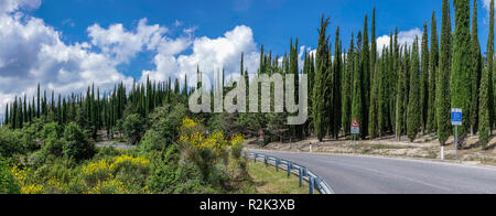 Paysage de Toscane, Italie Banque D'Images