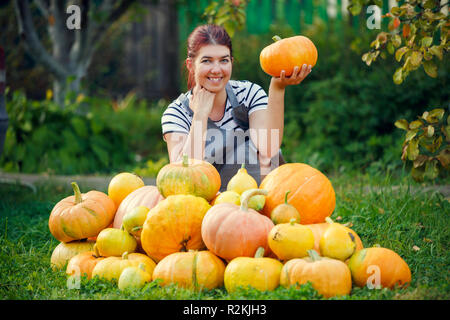 Photo de jeune femme jardinier citrouille à part parmi les citrouilles de récolte sur pelouse verte au jour d'été Banque D'Images