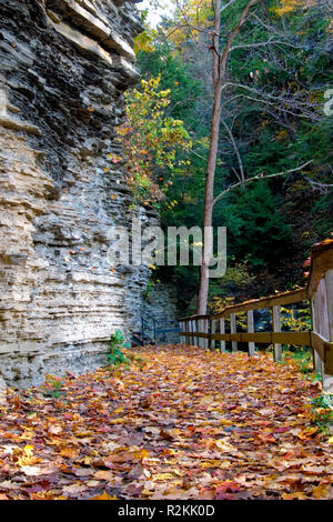 Le chemin à travers la Havane Glen Park à Montour Falls, NY Banque D'Images