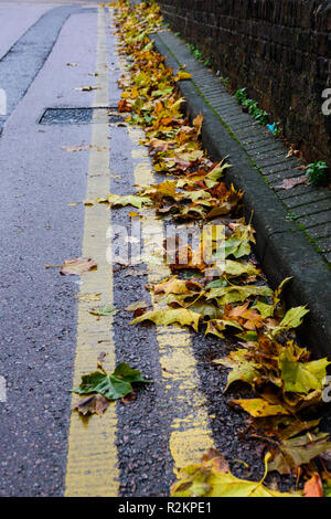 Les feuilles d'automne humide recueillir dans la gouttière sur le côté d'une route Banque D'Images