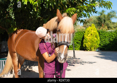 Souriante jeune femme médecin vétérinaire avec portrait cheval brun à l'extérieur. Equestrian healthcare medical concept. Banque D'Images