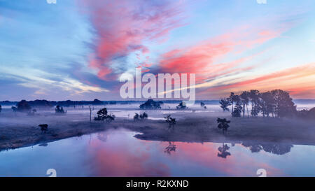 Terres humides tranquille lors d'une aube colorés avec des nuages, Turnhout, Belgique Banque D'Images