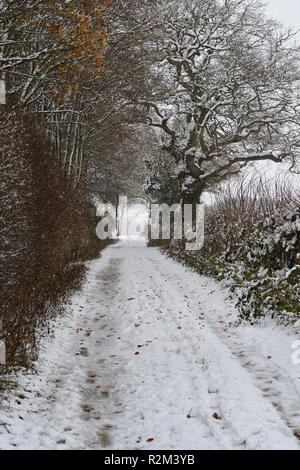 Vue panoramique d'une route étroite dans la campagne sur un jour de neige Banque D'Images