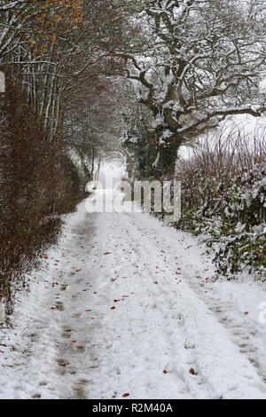 Vue panoramique d'une route étroite dans la campagne sur un jour de neige Banque D'Images