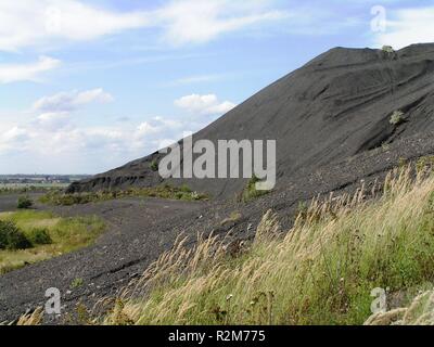 Pile de charbon dans le domaine Banque D'Images