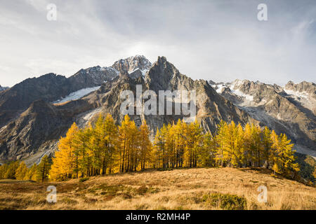 Vue sur le Val Veny au Mont Blanc (4810m), Courmayeur, province d'Aoste, vallée d'aoste, Italie Banque D'Images