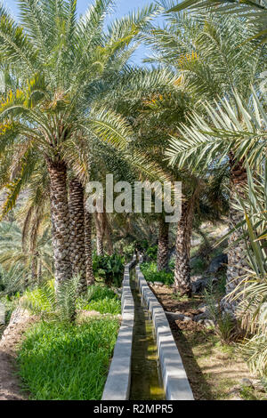 Système d'irrigation traditionnel falaj in Misfat en Oman Banque D'Images