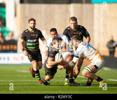 Northampton, Royaume-Uni. 17 novembre 2018. George Furbank de Northampton Saints est abordé au cours de la Premiership match Rugby Gallagher entre Northampton Saints et des guêpes. Andrew Taylor/Alamy Live News Banque D'Images