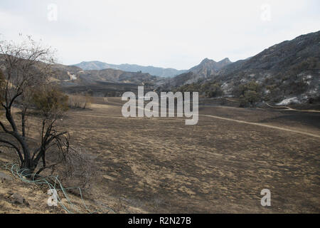 Agoura Hills, CA. 19 Nov, 2018. Après l'incendie, Woolsey à la Reagan Ranch est de Malibu Creek State Park le 19 novembre 2018 dans la région de Agoura Hills CA. Credit : Arc Sh/Espace d'image/media/Alamy Punch Live News Banque D'Images