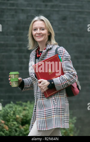 Londres, Royaume-Uni. 20 Nov, 2018. Elizabeth Truss Secrétaire en chef au Trésor arrive à Downng Steet Crédit : amer ghazzal/Alamy Live News Banque D'Images