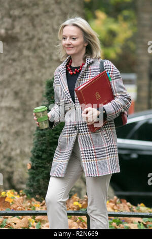 Londres, Royaume-Uni. 20 Nov, 2018. Elizabeth Truss Secrétaire en chef au Trésor arrive à Downng Steet Crédit : amer ghazzal/Alamy Live News Banque D'Images