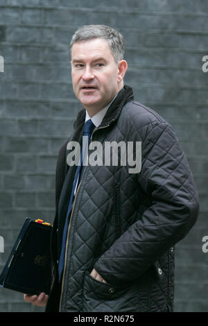 Londres, Royaume-Uni. 20 Nov, 2018. David Gauke MP Lord chancelier et secrétaire d'Etat à la Justice arrive à Downing Street Crédit : amer ghazzal/Alamy Live News Banque D'Images