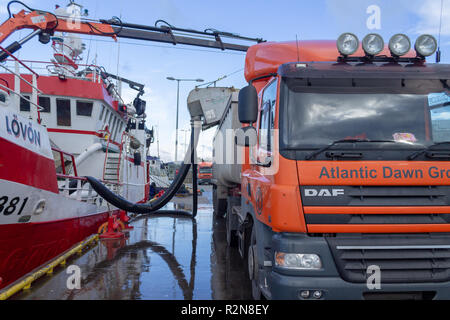 Baltimore, West Cork, Irlande, le 20 novembre 2018. Cet énorme de captures de chinchard de plus de 4 camions a été déchargé au quai de Baltimore aujourd'hui, la capture est pompée à terre sur les camions. Le poisson frais est ensuite transporté jusqu'à Killybegs pour être traitées avant l'expédition sur le marché japonais. Credit : aphperspective/Alamy Live News Banque D'Images