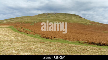 Le Pain de Sucre (596M), Abergavenny Montagnes Noires outlier vue du sud-ouest de Monmouthshire, Wales Banque D'Images