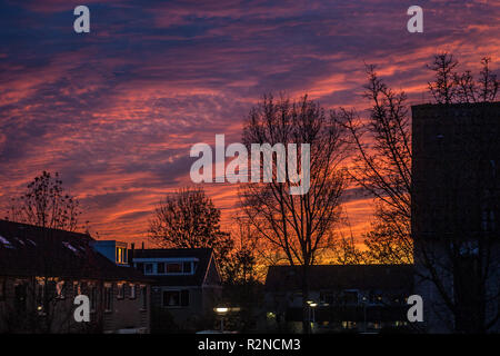 De soleil colorés dans une ville hollandaise. Les arbres sont silhouetté contre le ciel du soir. Banque D'Images